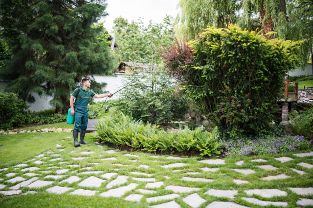 Best Wasp Removal Services  in Swartzville, PA