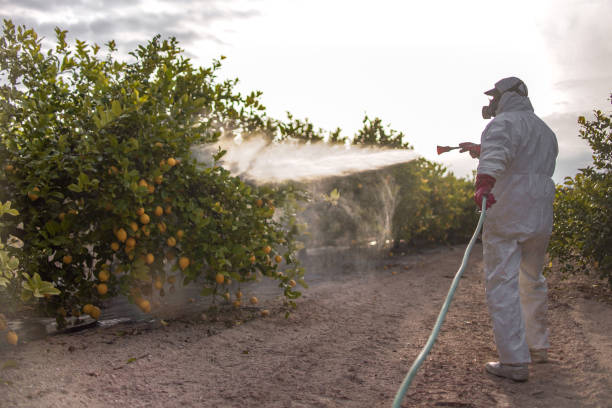 Best Residential Pest Control  in Swartzville, PA