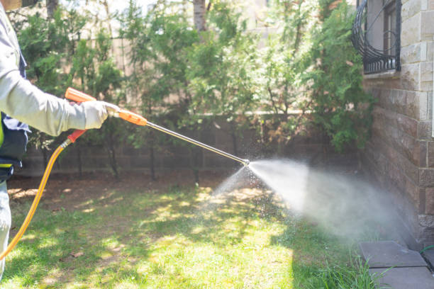 Best Termite Control Services  in Swartzville, PA