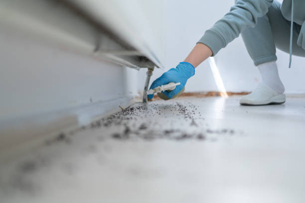 Best Commercial Pest Control Services  in Swartzville, PA